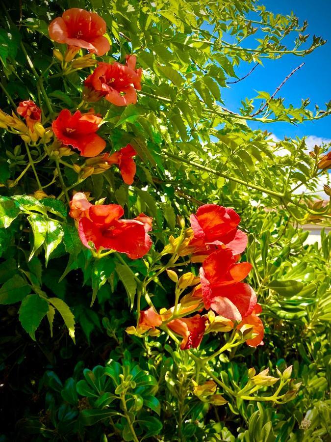 Villa Hylas Luxury Bed & Breakfast Kilada Dış mekan fotoğraf